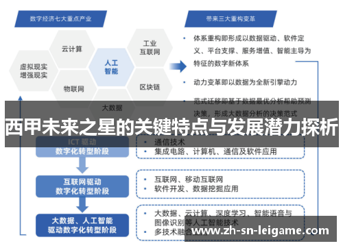 西甲未来之星的关键特点与发展潜力探析