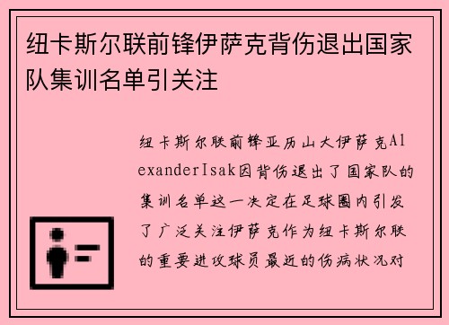 纽卡斯尔联前锋伊萨克背伤退出国家队集训名单引关注